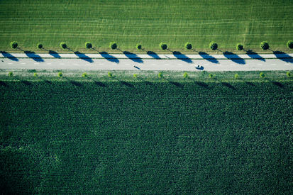 Voiture qui roule au milieu de la nature verte